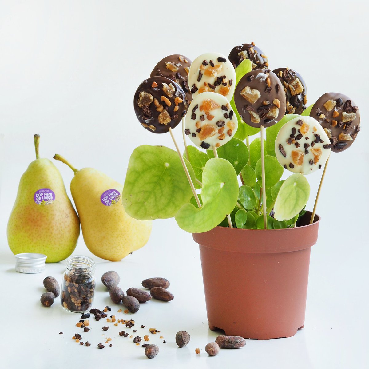 DOP Pera de Lleida tweet media