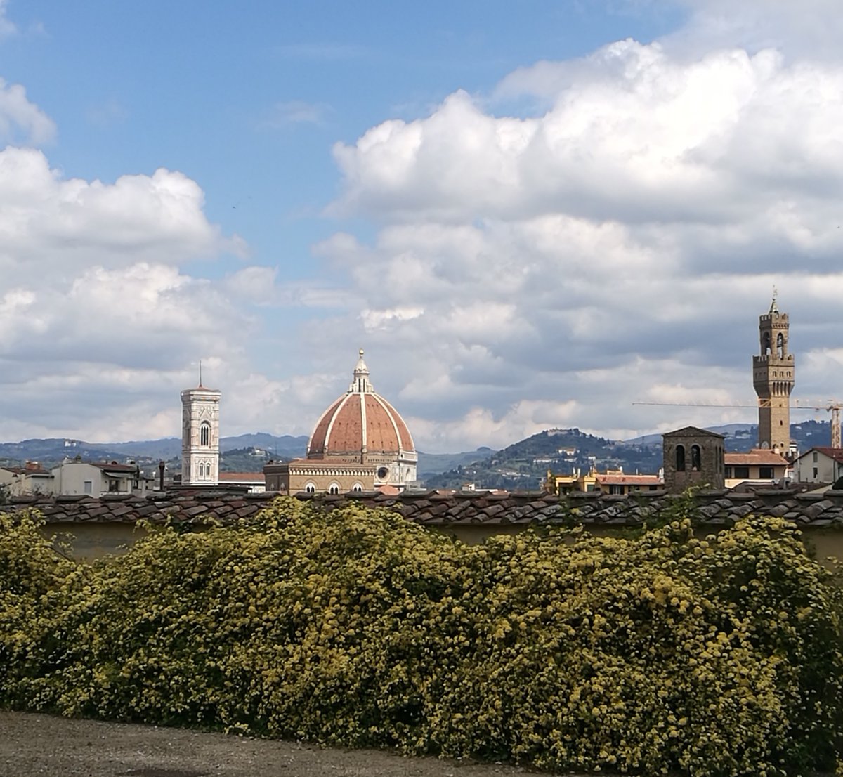 #Buongiorno da un trionfo di bellezza fatta di pietra, fiori e nuvole 💚