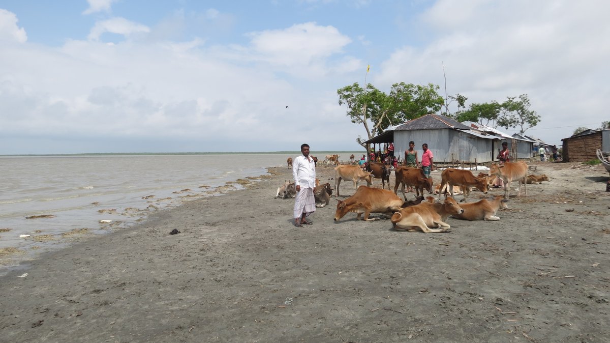 Rafiqul Montu 🇧🇩 tweet media