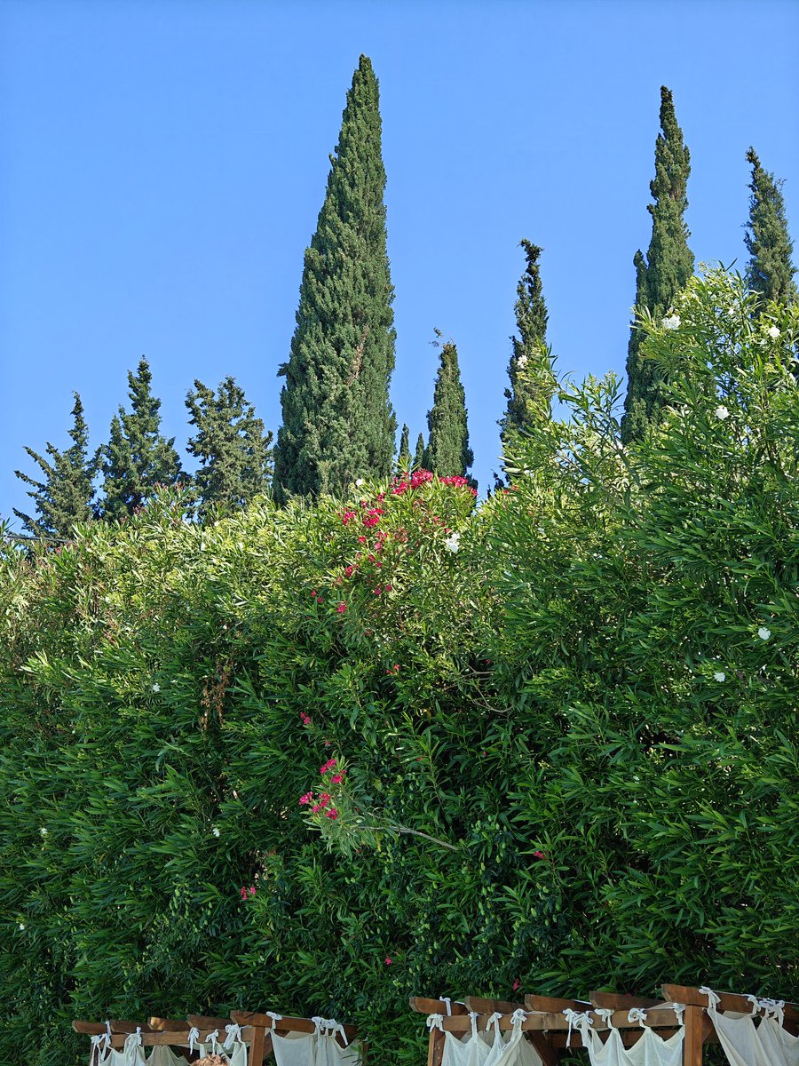 #ShotonOppo #OppoFindX6Pro