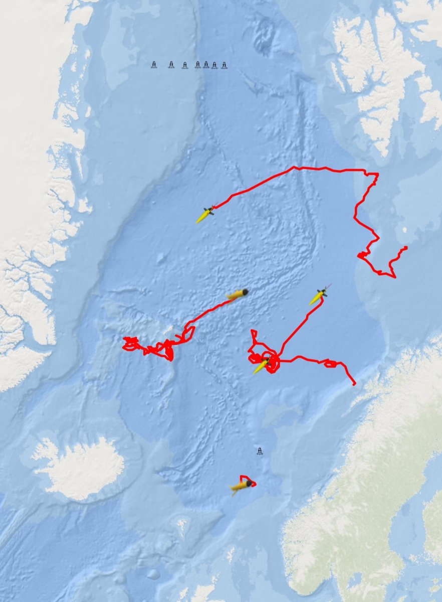 Here's a snapshot of our #OceanGliders in the Nordic Seas today! Kudos to a great team 👏👏
@fionaelliott001 @AilinBrakstad @GlidersNor @nor_emso @forskningsradet @UiBmatnat