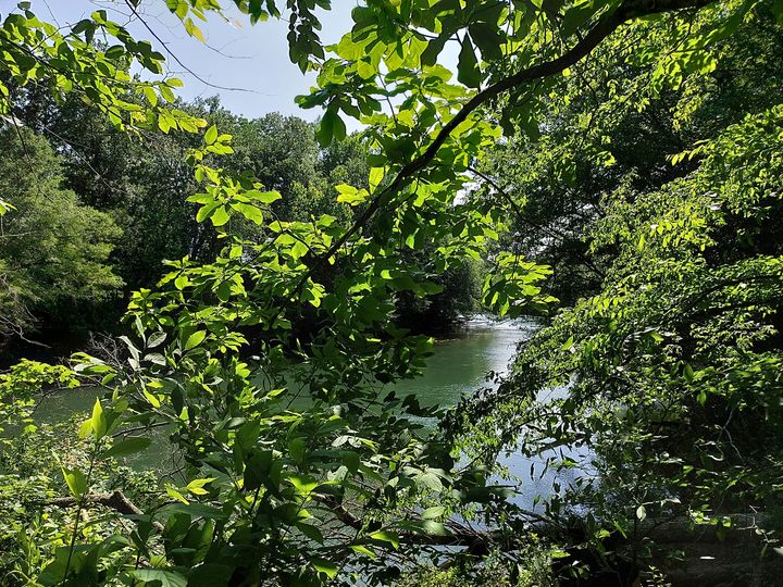 ProtectorsTrust's tweet image. "Look deep into nature, and then you will understand everything better." - Albert Einstein

RainforestProtectorsTrust.org

#nature #enlightened #einsteinquotes #naturephotography #beautiful #savetrees #savenature