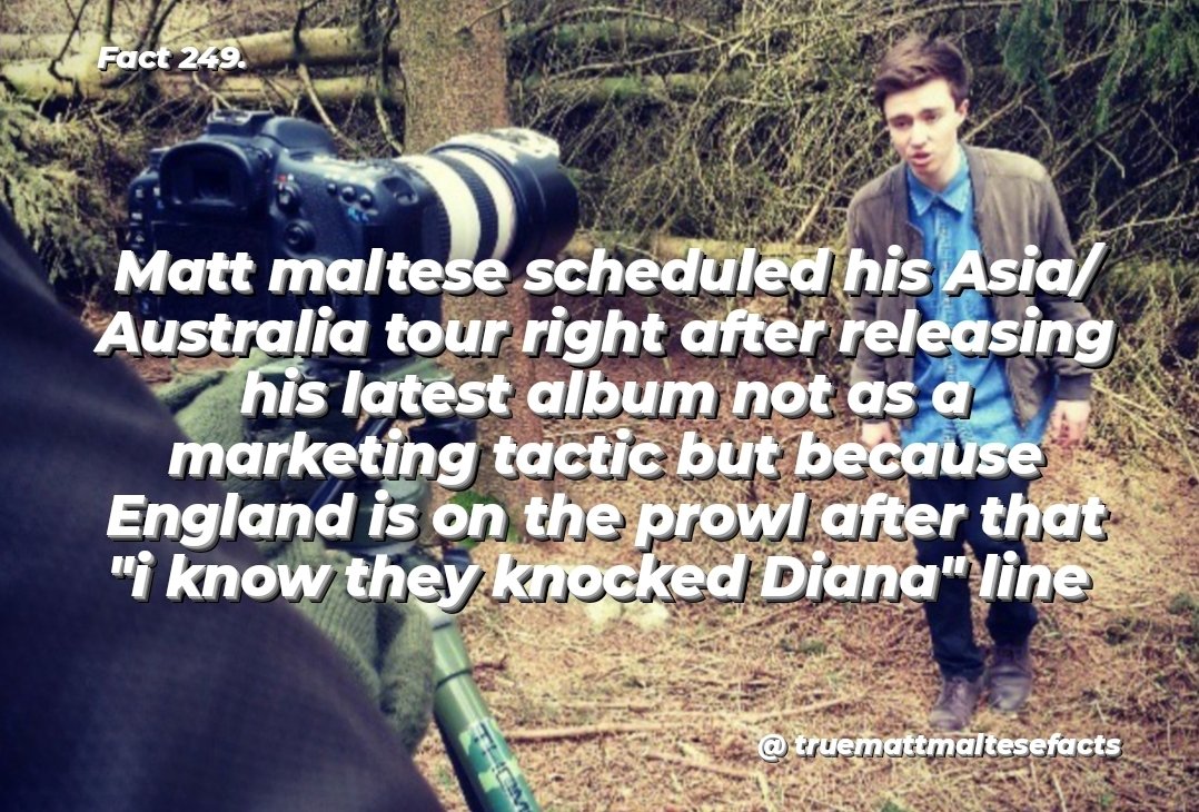 TrueMattMalteseFacts tweet media