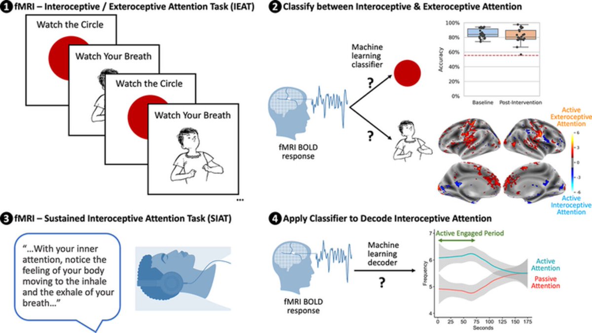 European Journal of Neuroscience (@ejneuroscience) on Twitter photo OUT NOW #OPENACCESS
A machine learning approach towards the differentiation between interoceptive and exteroceptive attention
Zoey Zuo @zoeyxyzuo
Norman Farb <a href="/NormanFarb/">NormanFarb</a>
University of Toronto Scarborough <a href="/UTSC/">University of Toronto Scarborough</a>
#Attention #AI <a href="/WileyNeuro/">Wiley Neuro</a> <a href="/FENSorg/">FENS</a>
onlinelibrary.wiley.com/share/BSEZT6EI… OUT NOW #OPENACCESS
A machine learning approach towards the differentiation between interoceptive and exteroceptive attention
Zoey Zuo @zoeyxyzuo
Norman Farb <a href="/NormanFarb/">NormanFarb</a>
University of Toronto Scarborough <a href="/UTSC/">University of Toronto Scarborough</a>
#Attention #AI <a href="/WileyNeuro/">Wiley Neuro</a> <a href="/FENSorg/">FENS</a>
onlinelibrary.wiley.com/share/BSEZT6EI…