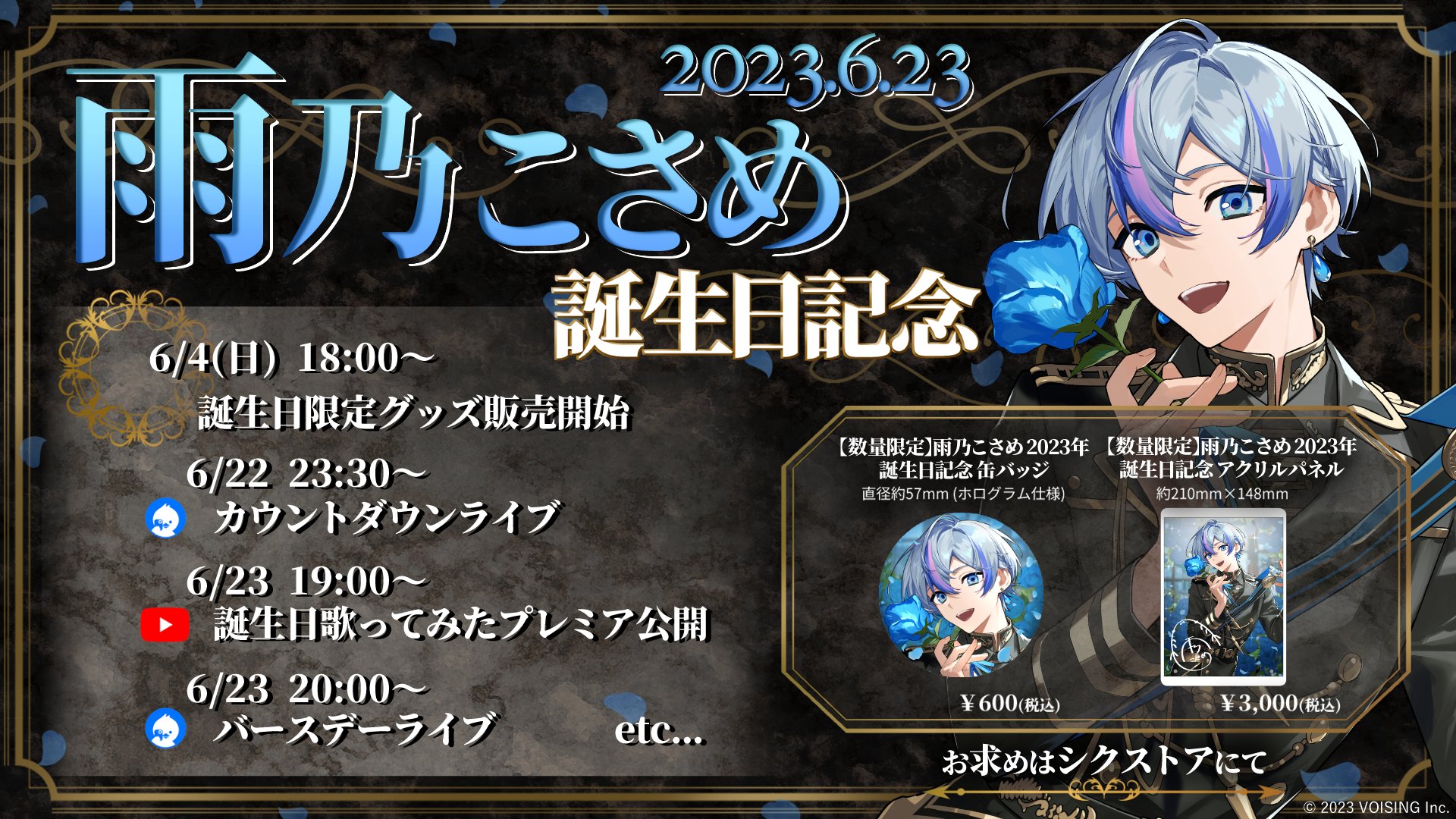 シクフォニ 雨乃こさめ 2L判 恥ずかしかっ ブロマイド2枚