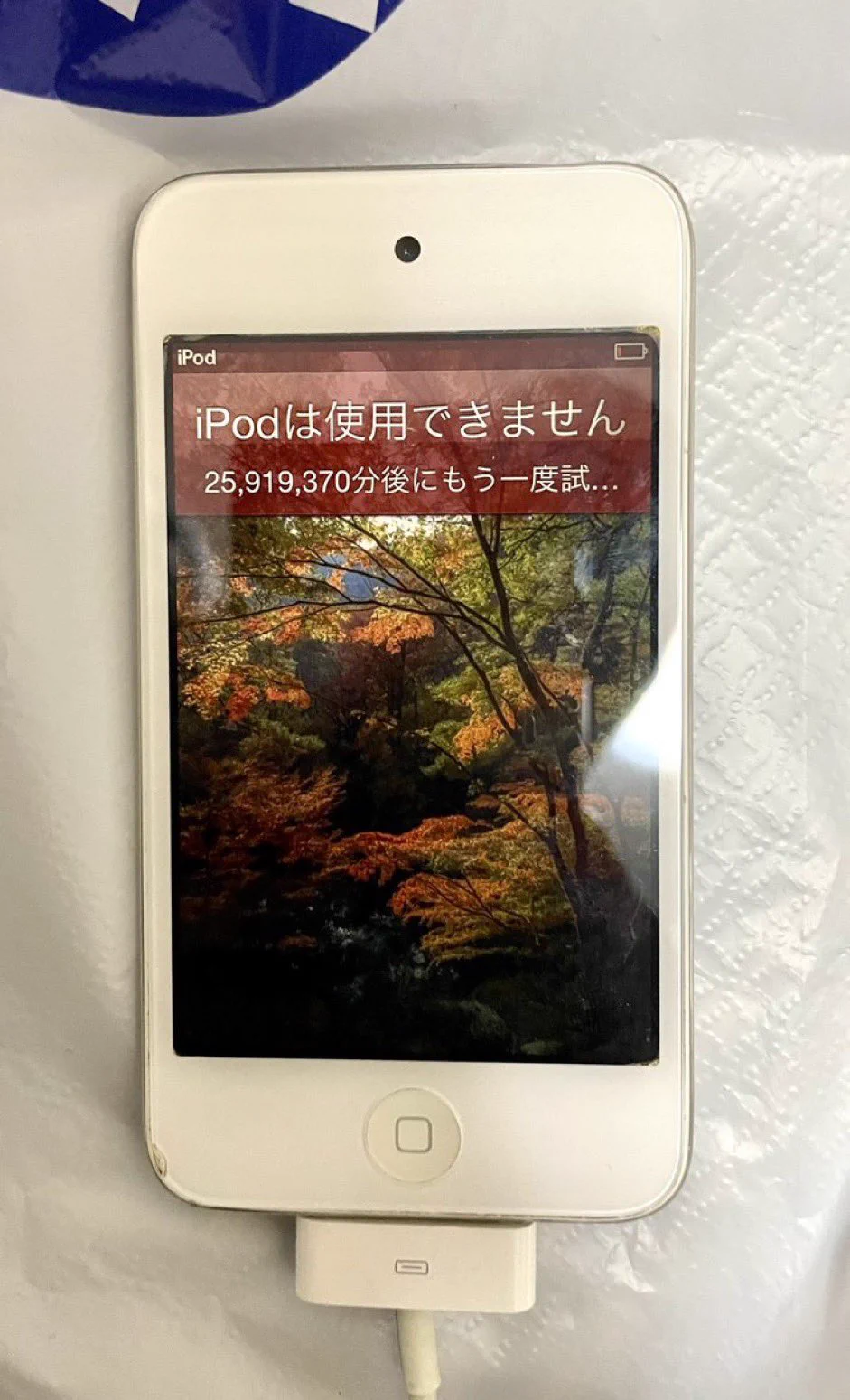 @YuriRockinJapan おぉ、これは嬉しいですね…😭
私も50年後が待ち遠しいです！！😁 