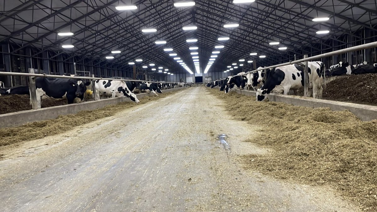 Jonathan Parker tweet media