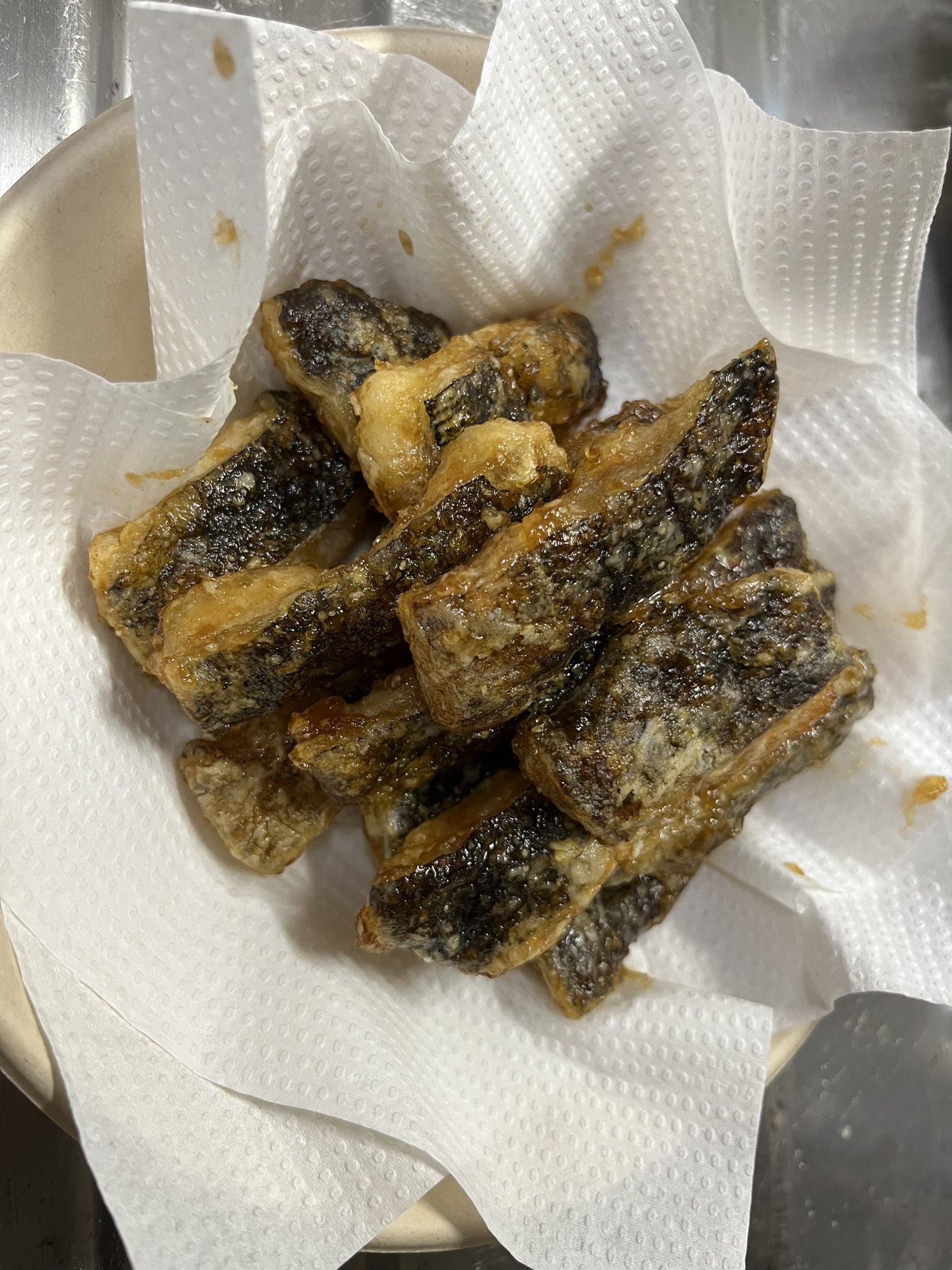 ウツボページ 素人が作ったお魚図鑑｜ウツボ目ウツボ科