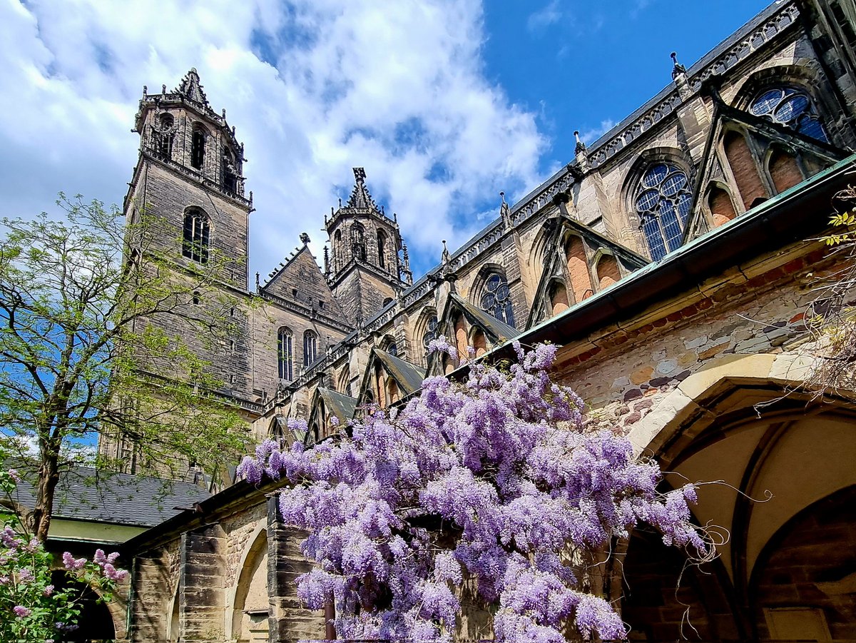 NawrathThomas's tweet photo. Sonntag ist Domtag. Altes Magdeburger SocialMedia-Gesetz. 

#Sonntag #Dom #domtag #Magdeburg #cathedral #SachsenAnhalt #magdeburgerdom #strassederromanik #gartenträume https://t.co/lmehWgaX5n