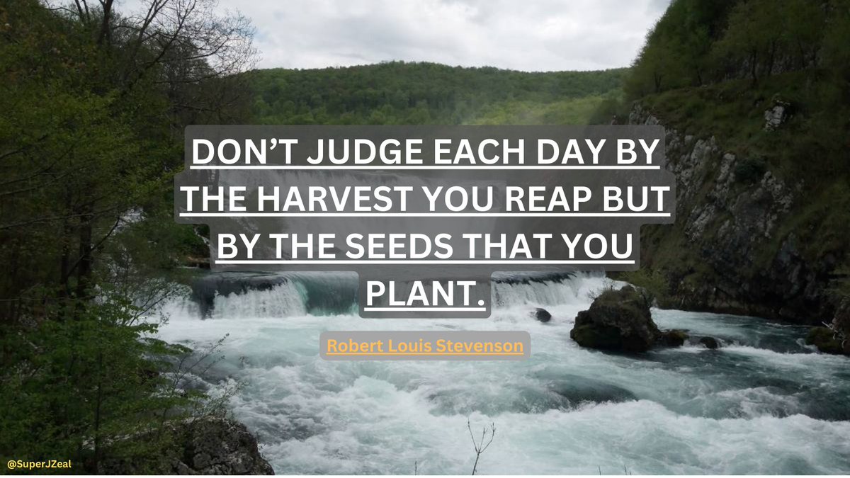 Gm guys have a great Sunday. Try to plant many seeds, it will take time for some to grow, and some won't even grow, but many years down the road you will be rewarded for your work. The same is with ideas, you will have many, many will fail, but those good ones will be rewarding!