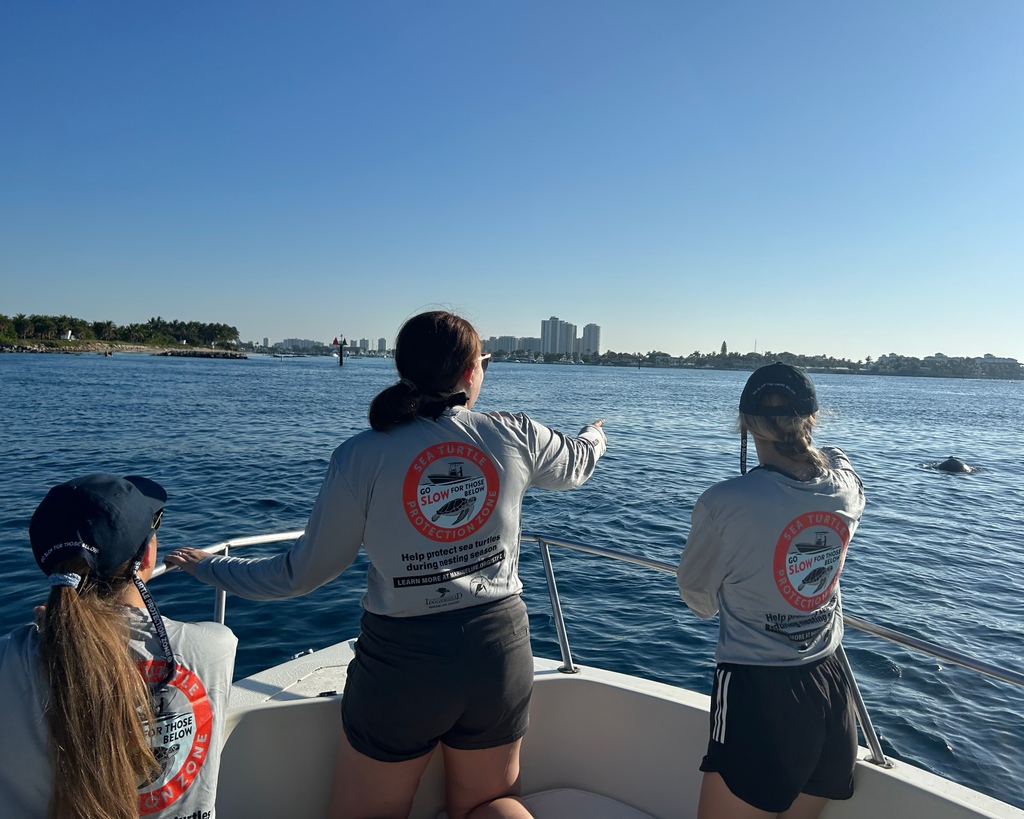 Loggerhead Marinelife Center tweet media