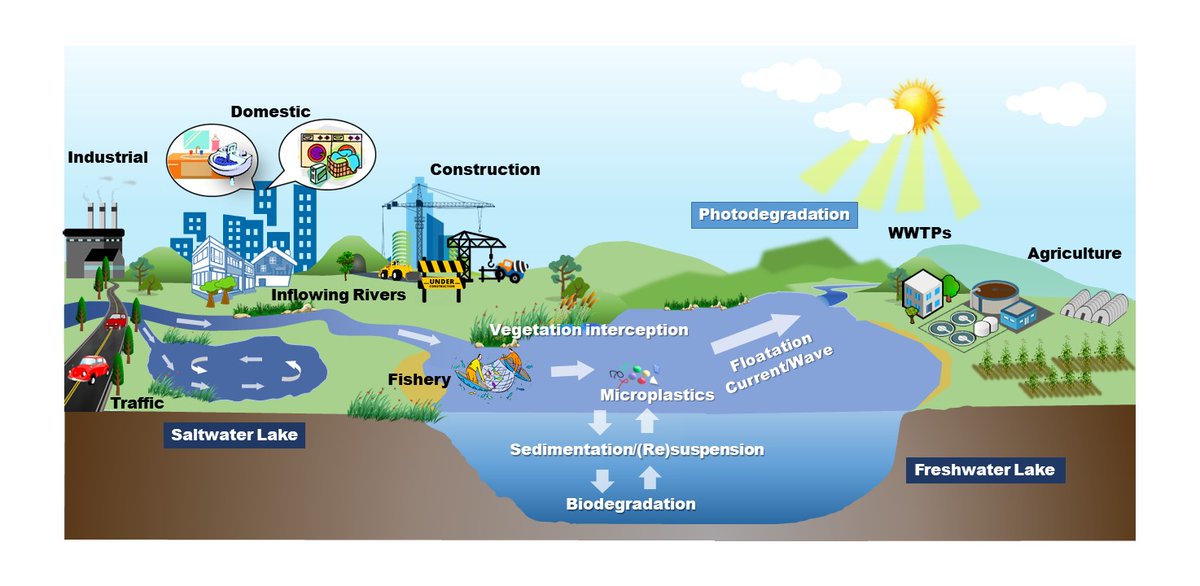 Our newly published review will help readers to quickly understand the pollution and migration characteristics of #microplastics in #lake  ecosystems. link.springer.com/article/10.100…