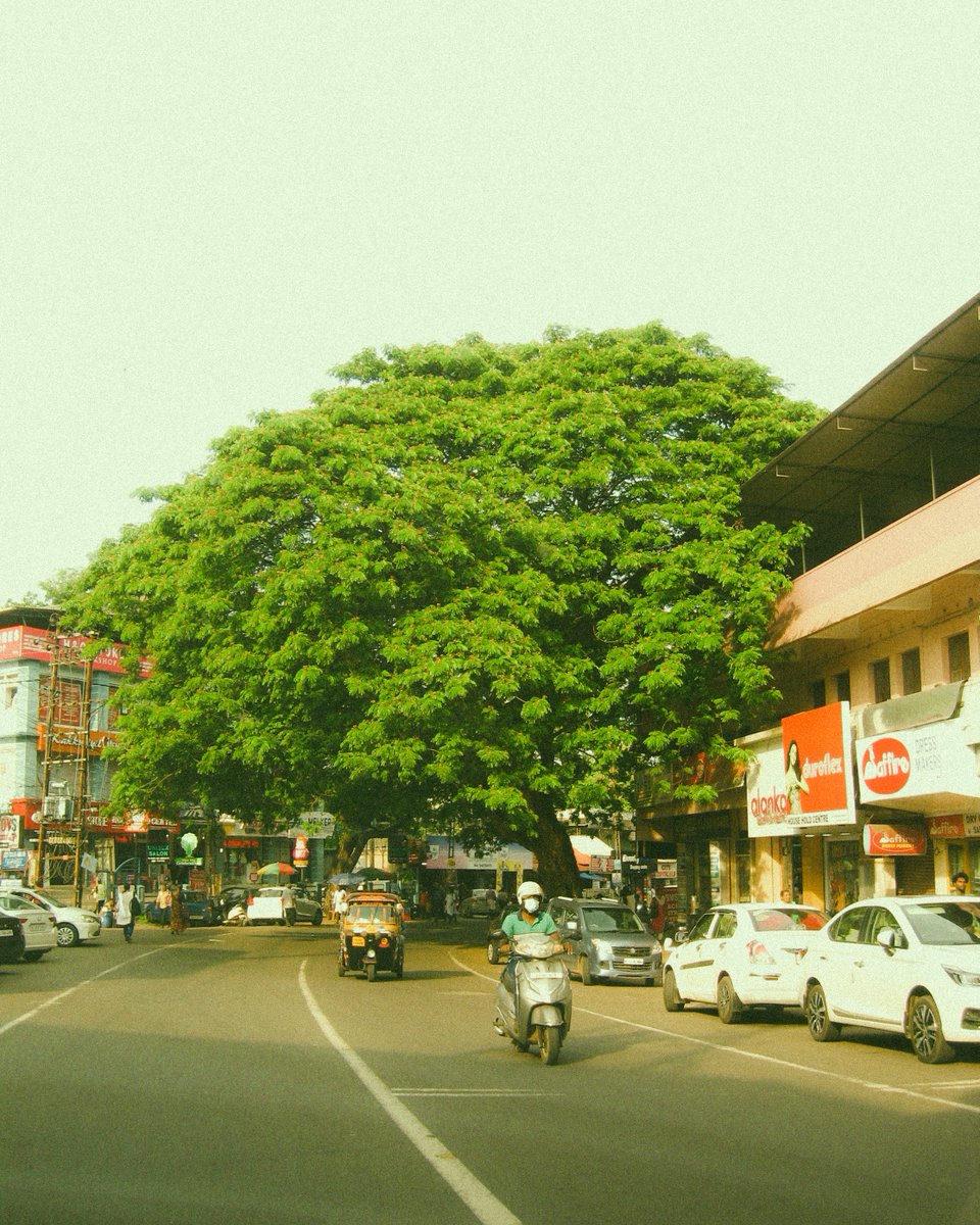 the3rdtone's tweet image. Daily photo project       
#7mp   

Feel free to retweet 🙂
#naturelovers
#landscapephotography
#outdoorphotography
#naturephotography
#nature_perfection
#earthpix
#wildernessculture
#exploretheworld