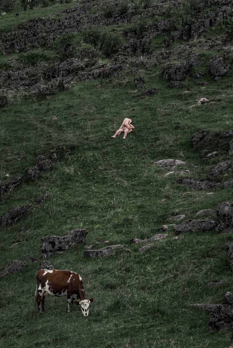 Javier Rey tweet media