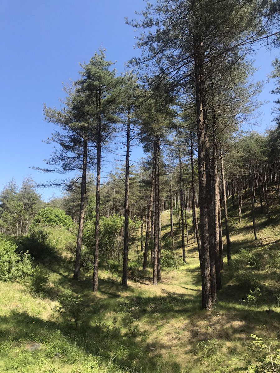 Marina Kogan tweet media