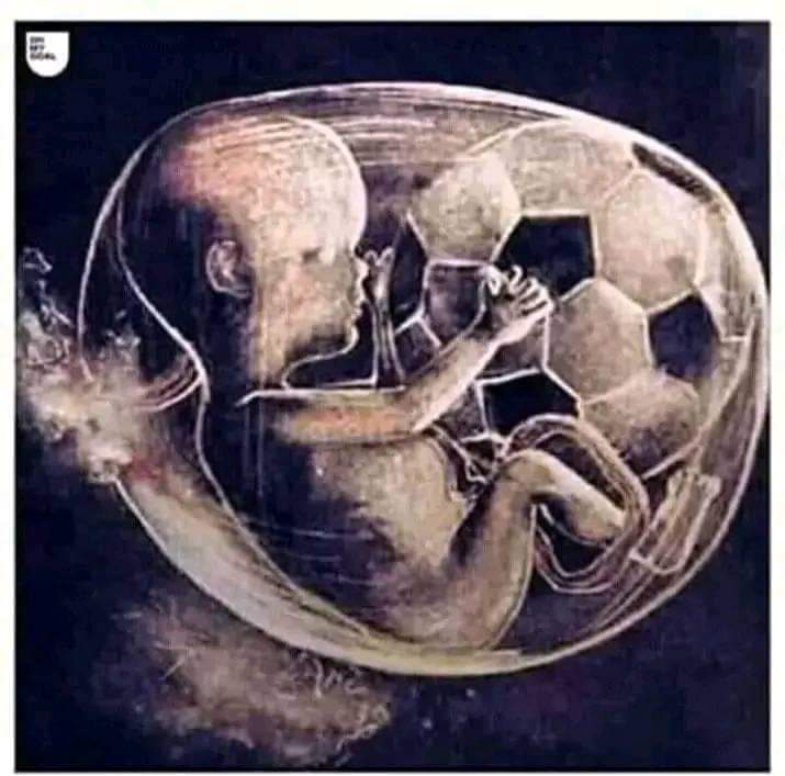 Xolonkosii's tweet image. Football is our livelihood, hobby and religion ❤⚽️