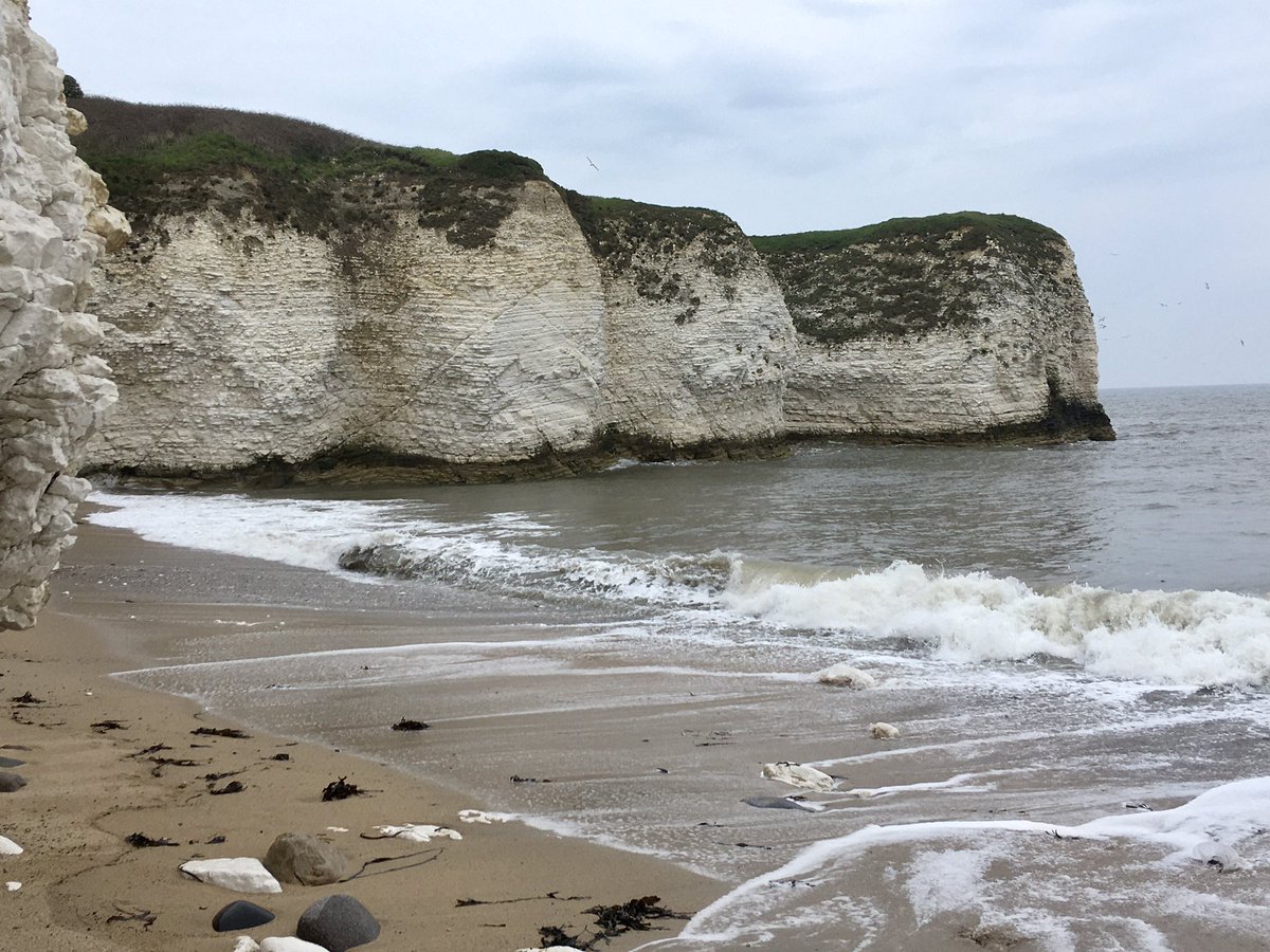 “Met we on hill, in dale, forest, or mead, by paved fountain or by rushy brook, 
Or in the breached margent of the sea,” #AMidsummerNightsDream #ShakespeareSunday 

#HopeValley #ShipleyPark #HorsleyLodge #Flamborough