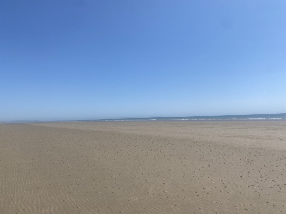 Abbie Probert tweet media