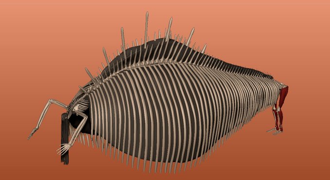 モンスト】明日で期限切れなので注意！強キャラGETのチャンスを見逃す