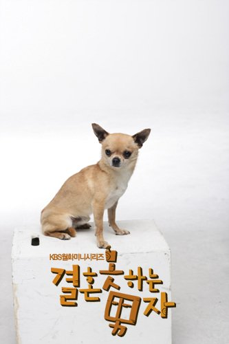 <결혼못하는남자> 이 드라마 은근 재밋게봄 일단 나는 엄정화표 로코라면 족족 다 타율이 좋앗고 지진희의 사회성없는노총각연기도 재밋엇고...