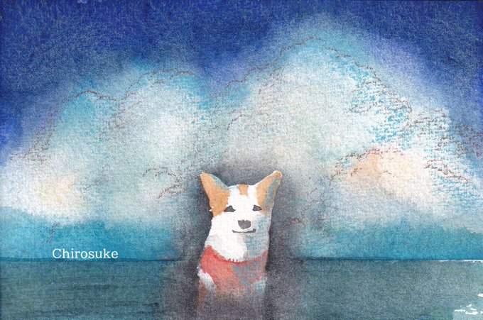 「cat shiba inu」 illustration images(Latest)