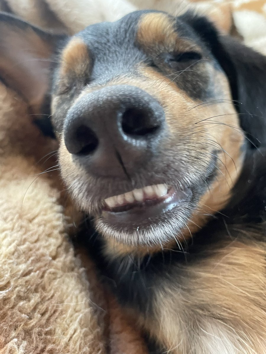 Kā es guļu zinot, ka mani tagad sauc par Šilovu, jo es arī esmu pats labumiņš #hokejs2023