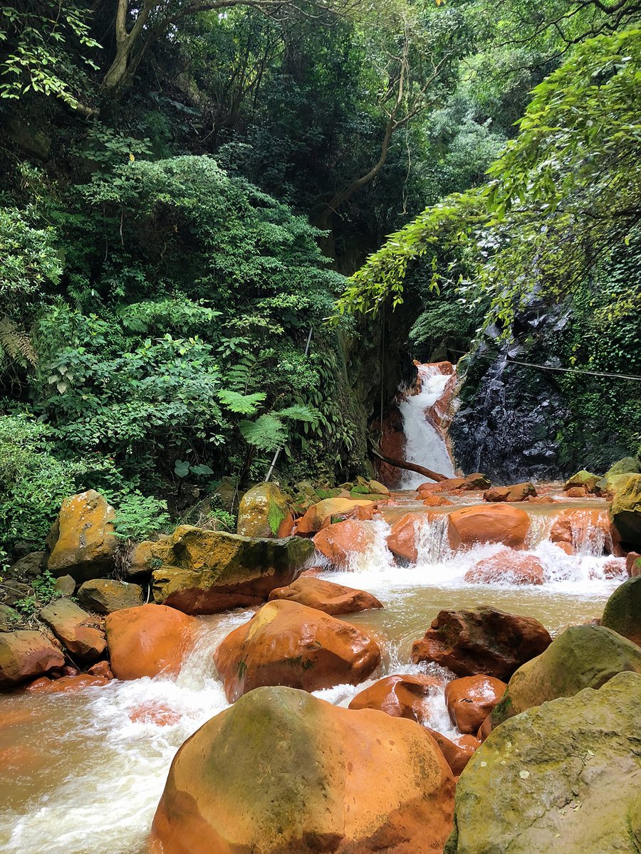 日本式水道管道を歩く
今年初登山…
天母からスタートすると1300段の階段を登らなければなりません