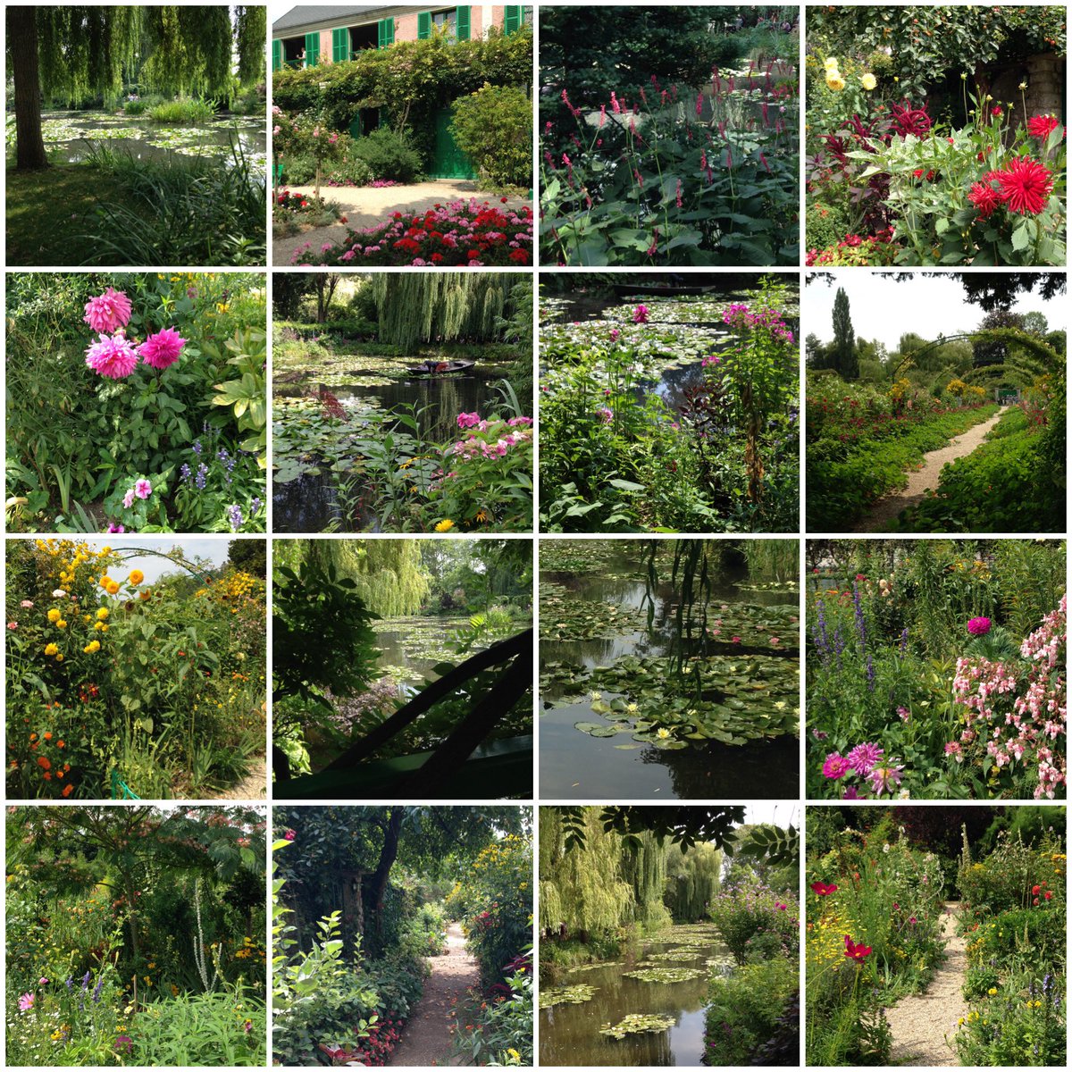 I’ve just found more photos from my beautiful trip to Monet’s house & garden (Giverny) a fair few years ago. It’s not all water lilies, there are wonderful little passageways lined with flowers and foliage to spark your imagination… Can’t wait to return one day… 🥰🪷🌿🌺