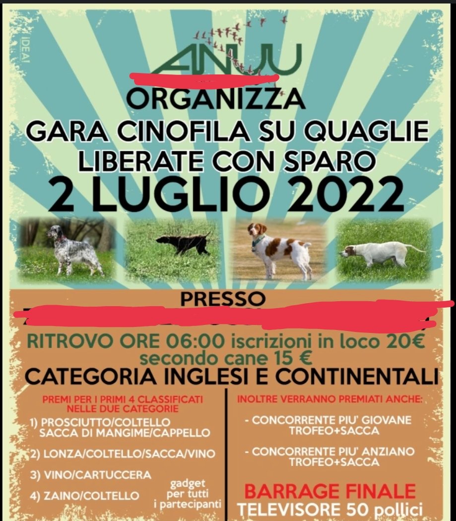 riky7372's tweet photo. Info: lo sapete che i #cacciamerda (fuori dal periodo di caccia) usano animali come giochini?
Fanno gare lanciando quaglie, fagiani,starne allevate aizzando contro i cani e sparando.
Alla faccia della legge sul maltrattamento animale 🤬
#BastaCaccia #AnimaliLiberi #GoVegan https://t.co/EAtJNBV8Nl