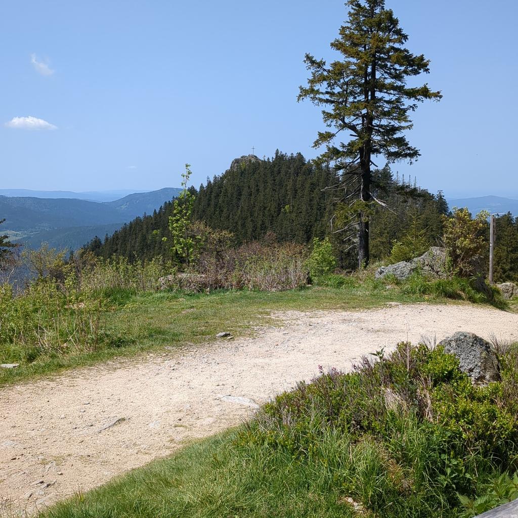 #Osser aber nur der Kleine ...