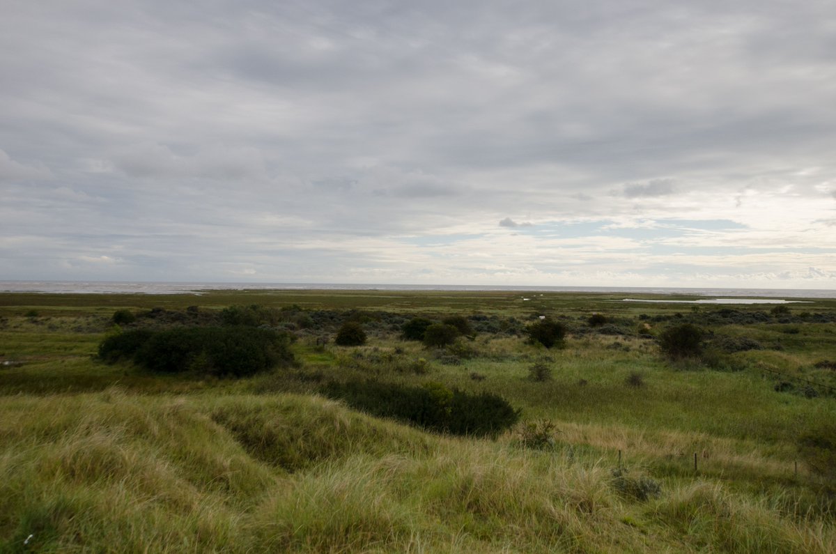 Are you exploring nature this weekend? With warm weather set to continue, wildfire risk is higher
 
❌ Don’t light fires in the countryside
⚠️ Only have BBQs where signs permit
🚮 Take rubbish home
 
Stay safe and call 999 if you see a fire in the countryside.
 
#CountrysideCode