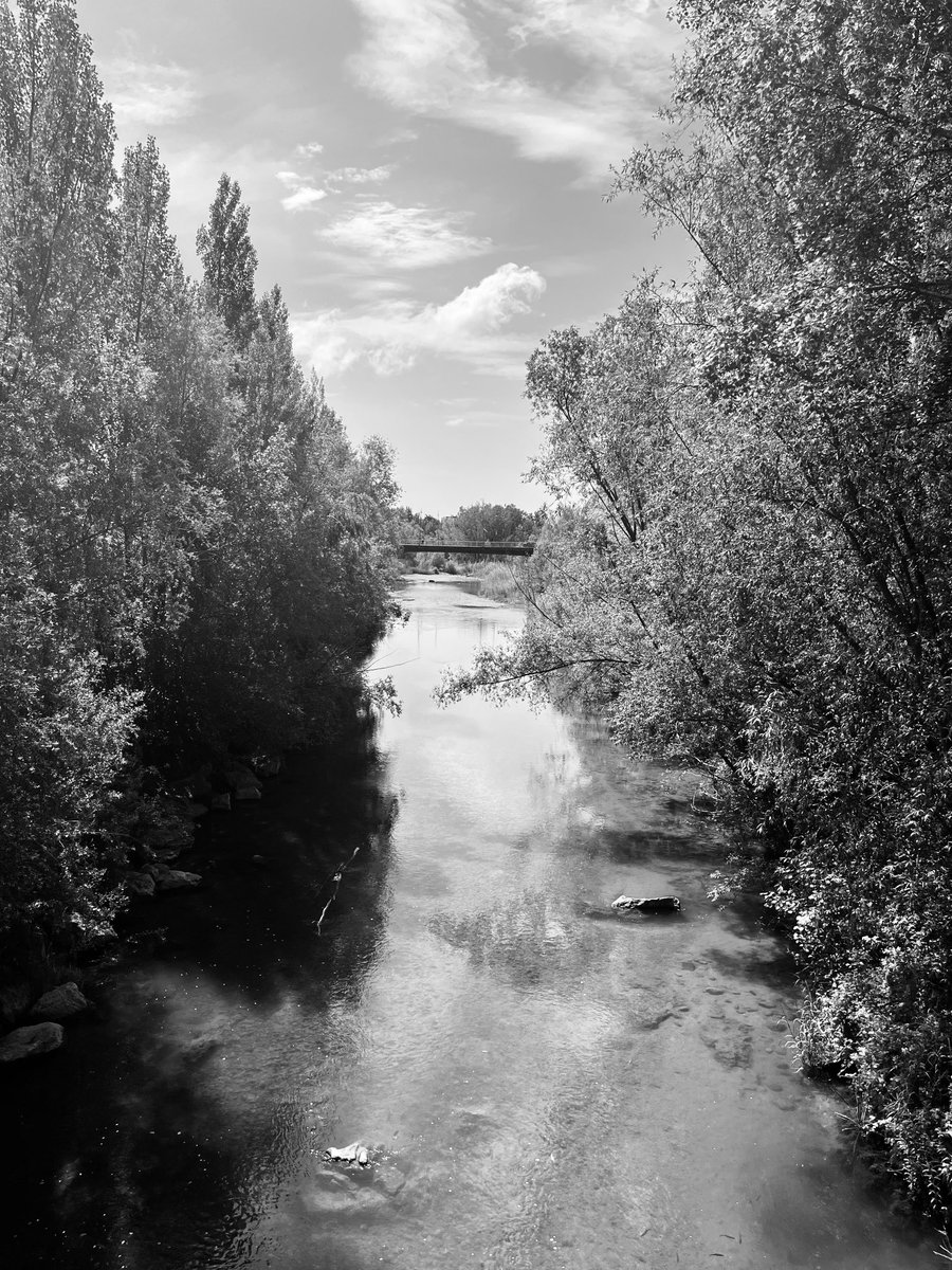 ☀️☁️🏞️🩶🌈 #Leonesp