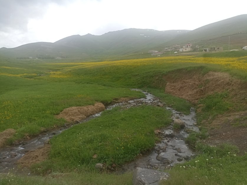 Seçim görevi için muazzam bir ortamdayiz