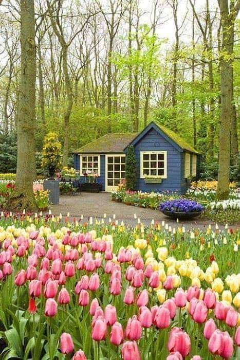 Happiness and ease grow by sharing.
#bestie92