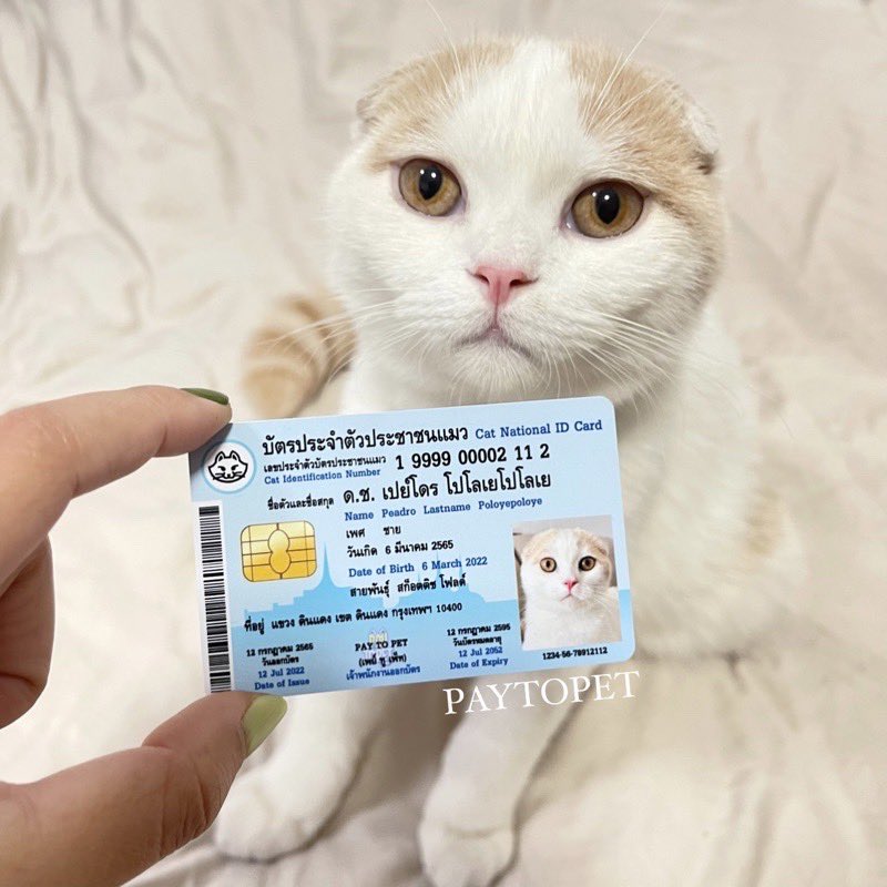 น่ารักกกกก บัตรปชช.สัตว์เลี้ยง 555555555555