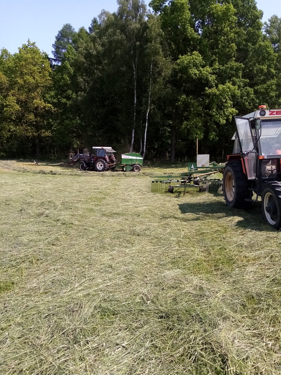 michalz90's tweet photo. Miłej niedzieli. Polska wieś, sianokosy 2023. #Zetor #Sipma #Stoll https://t.co/MaMy89qwoT