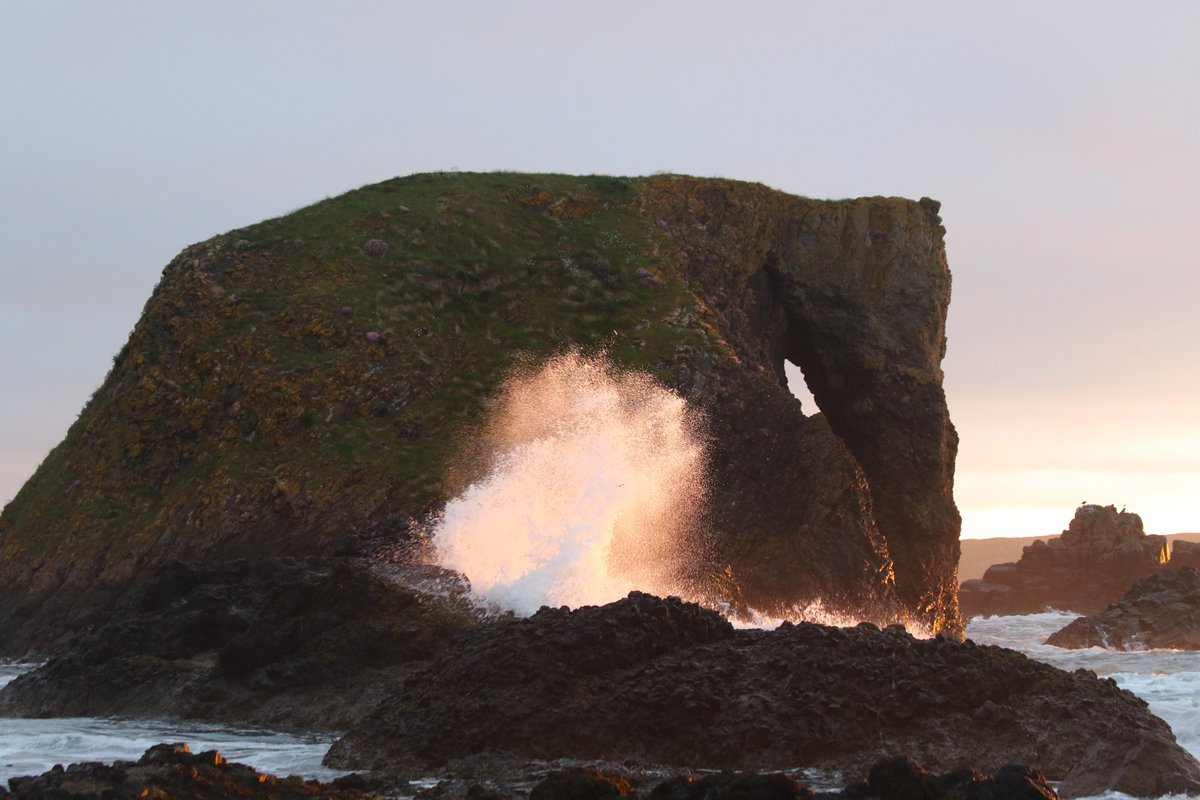 Elephant Rock, Ballintoy - think he sneezed as I took this 🤣@LoveBallymena @WeatherCee