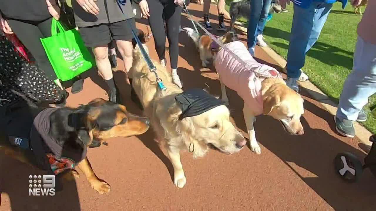 9News Perth on Twitter 