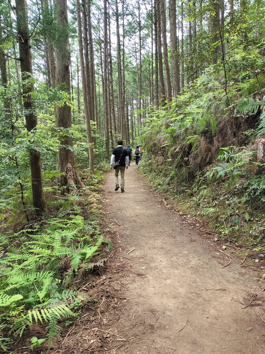 熊野古道歩いて来たよ～♪🚶💨