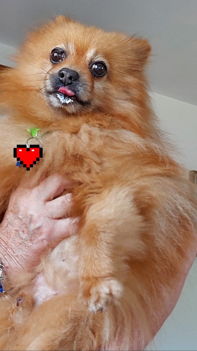 Savy 🌙 tweet media