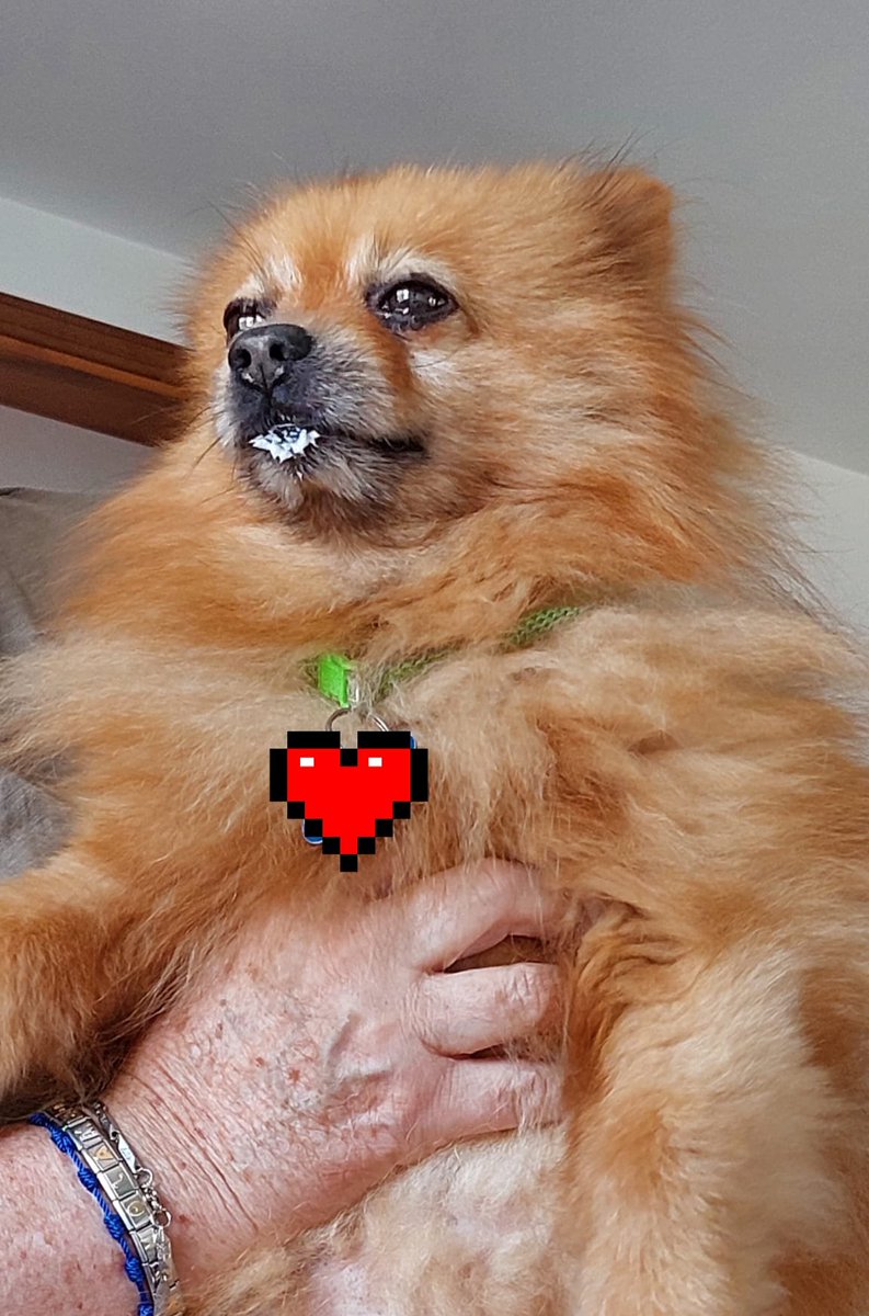 Savy 🌙 tweet media