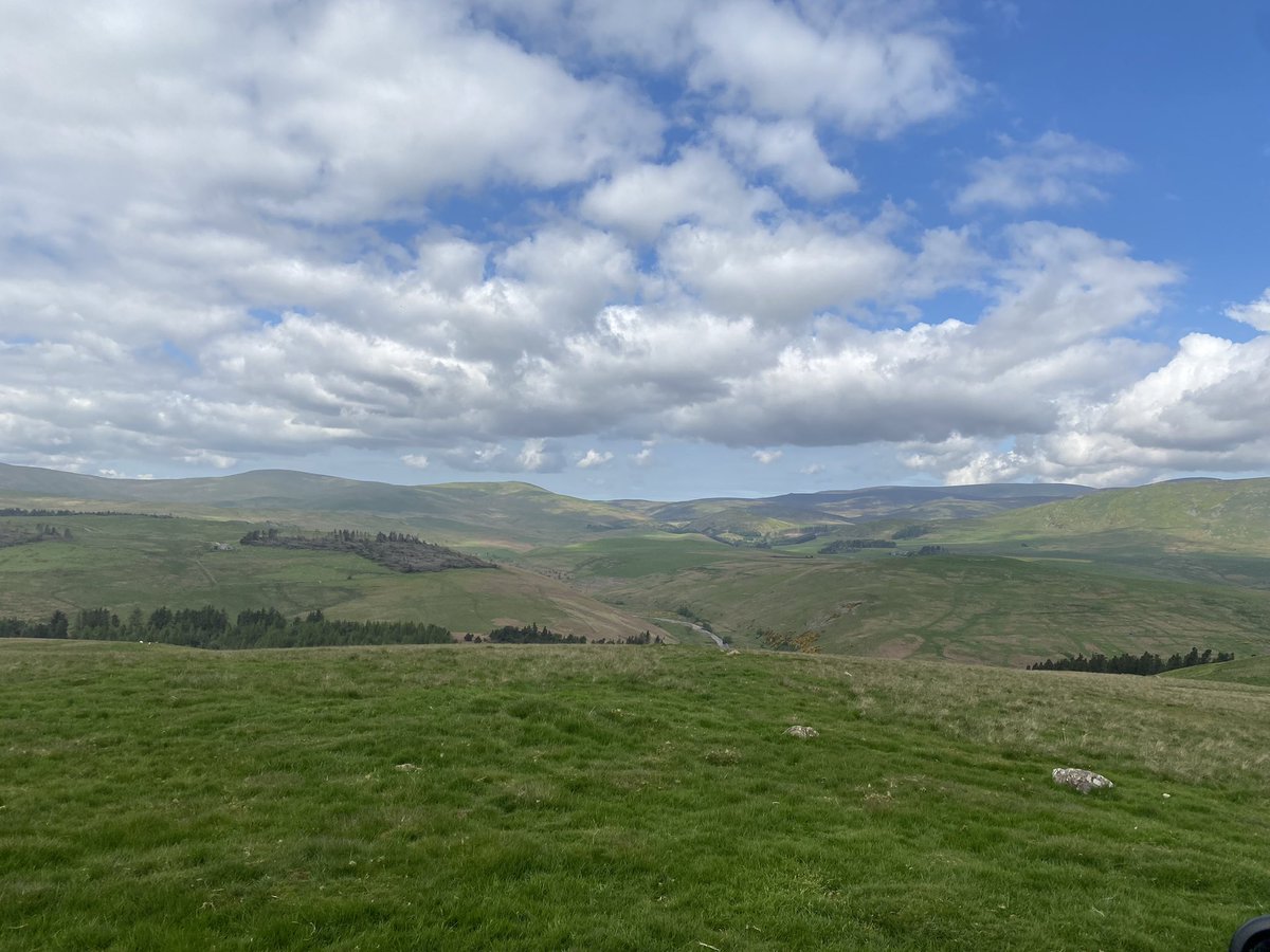 Happy Northumberland Day from @ingramvalleysafaris #happynorthumberlandday ❤️💛❤️💛