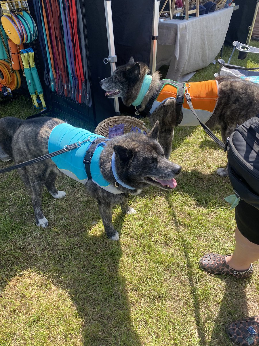 New cooling vests for us please Bob 🧡💙 from The Boys