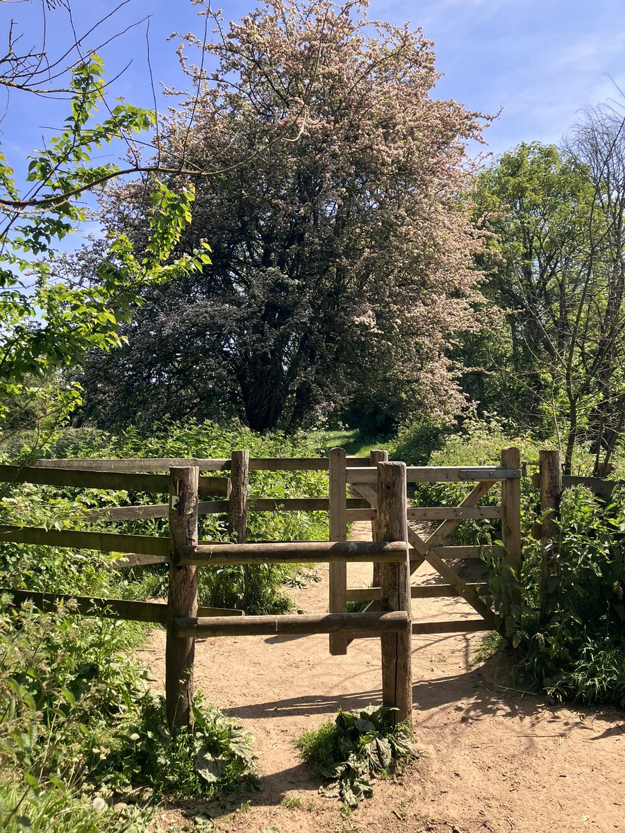 Beautiful West Sussex day #kisser #kissinggate #midhurst #lovemidhurst #southdowns