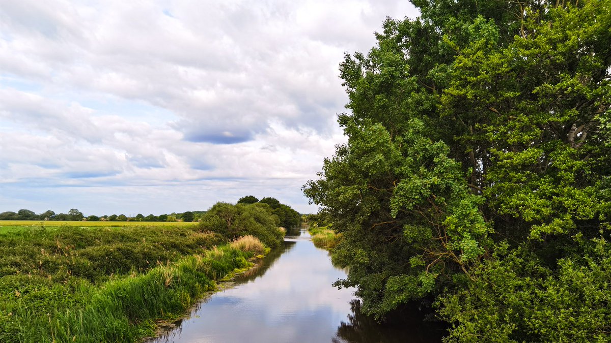 Little bit cooler this morning at Selby Canal 

#canalboatdiaries #NaturePhoto #huaweip40pro #thegreatoutdoors #morningwander