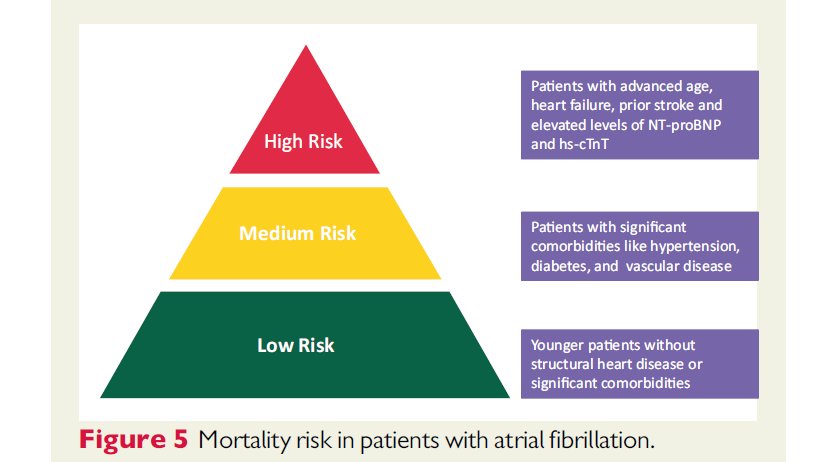 #Europace 
European Heart Rhythm Association (EHRA)/Heart Rhythm Society (HRS)/Asia Pacific Heart Rhythm Society (APHRS)/Latin American Heart Rhythm Society (LAHRS) expert consensus on risk assessment in cardiac arrhythmias: use the right tool for the right outcome, in the right…