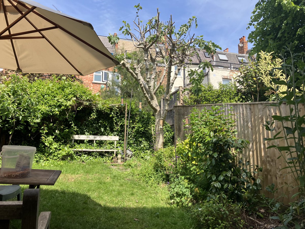 Tom Feilden tweet media