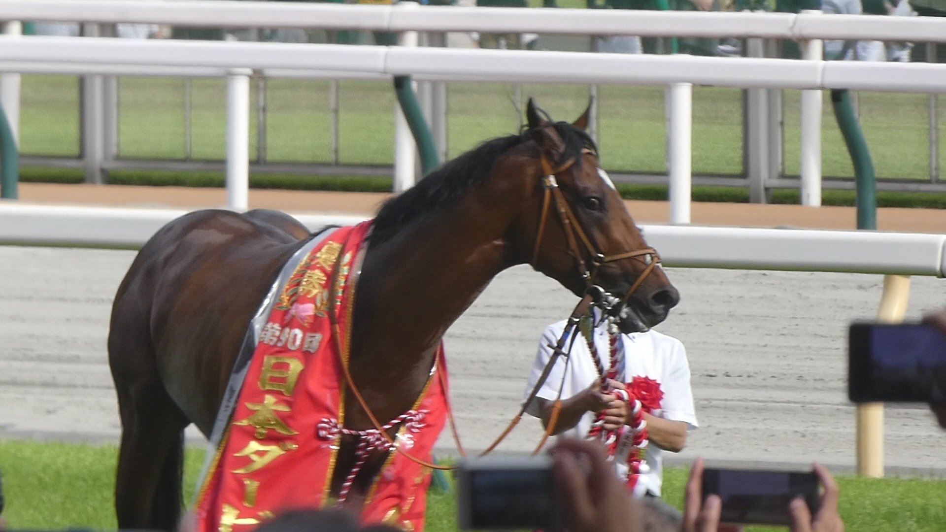 dレーン騎手 - Search / X