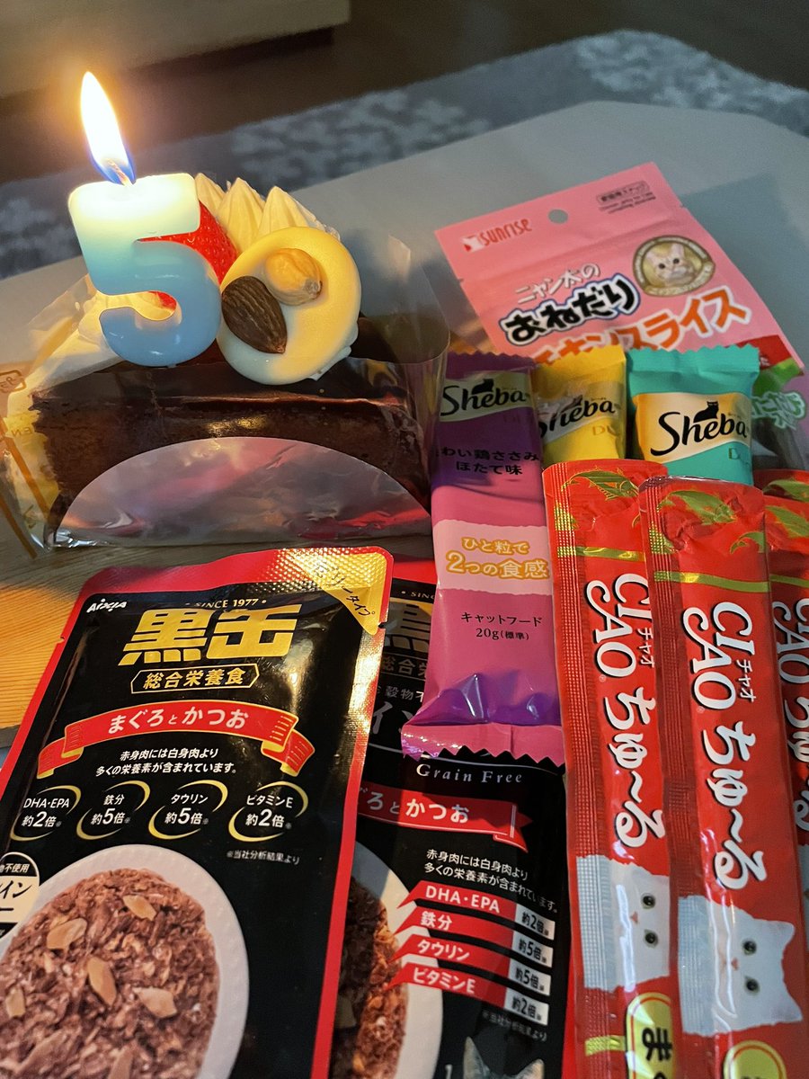 Ns8Pw's tweet photo. 推定ですが今日はコタロー５歳の誕生日でした。真冬にいなくなりあれから月日がたってしまい色々な事が頭をよぎりますがいつか会えることを信じていこうと思ってます。これからもご協力よろしくお願いします🙇‍♀️
#北海道　#札幌　#新川　#新琴似 https://t.co/U4fXCN4VoX