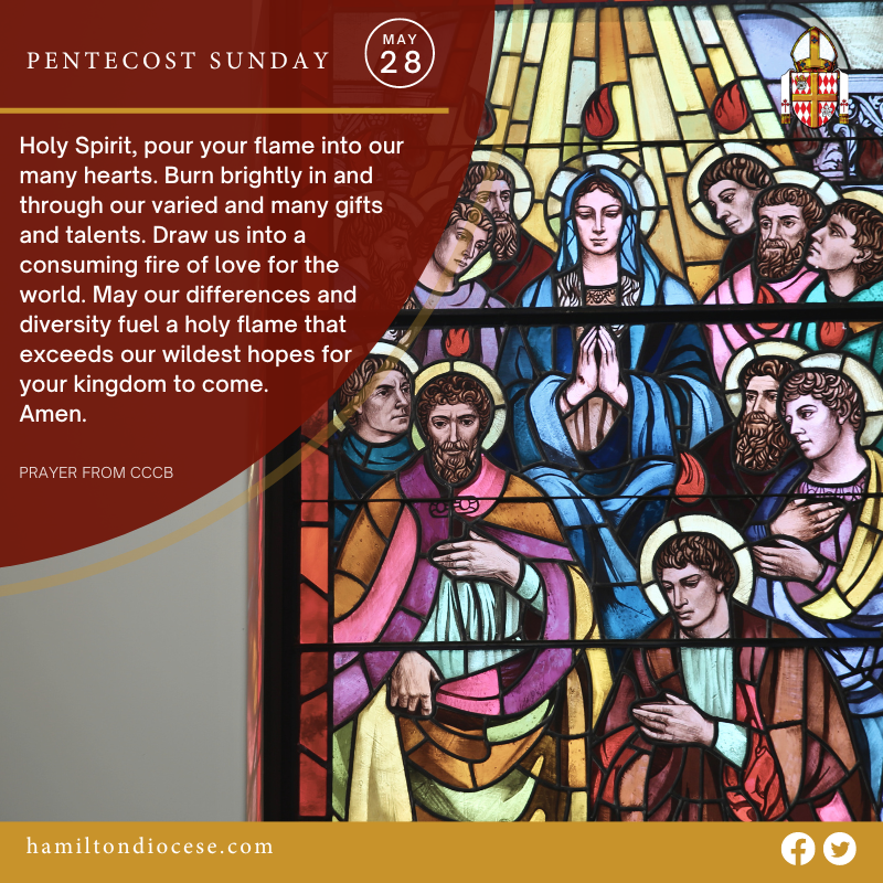 DioceseHamilton's tweet photo. The Season of Easter concludes today on the Feast of Pentecost. On Pentecost, we celebrate the descent of the Holy Spirit upon the apostles; this event marks the beginning of the Church. https://t.co/mlKrGpau5U